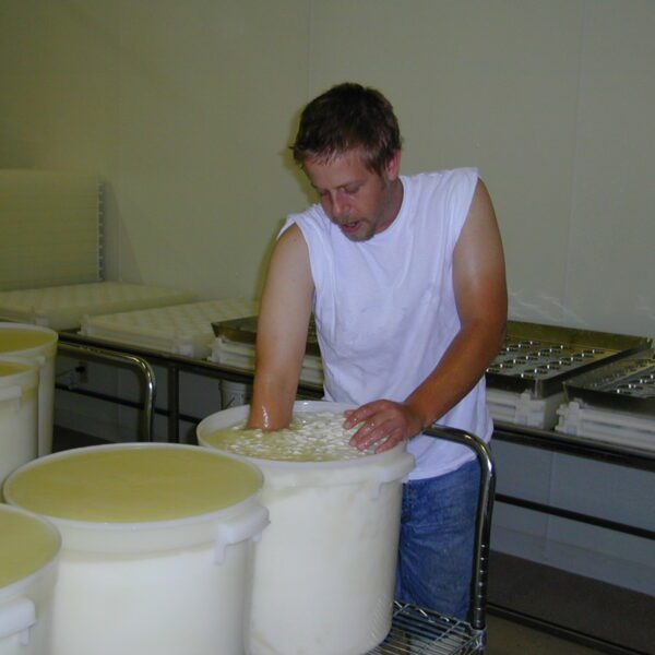 MouCo Cheese Batch Number 1 with Robert