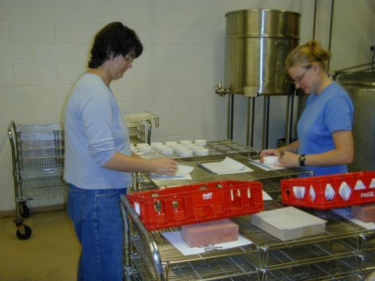 MouCo Cheese Wrapping in the early days
